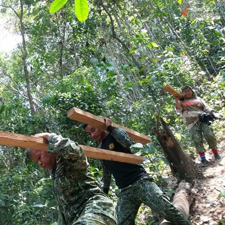 บุกจับมอดไม้ตัดต้นตะเคียน