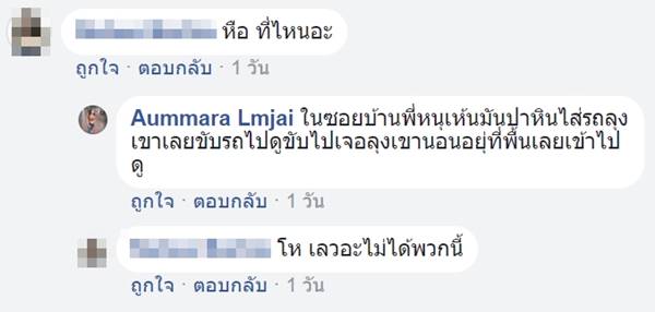 ป่าหินใส่แท็กซี่