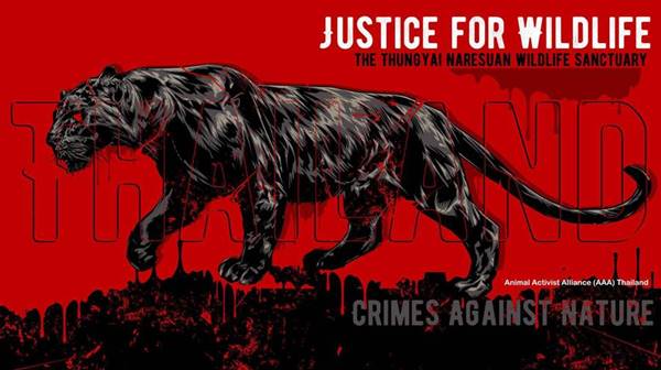 เสือดำทุ่งใหญ่