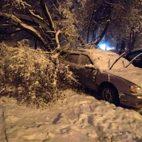 พายุหิมะ