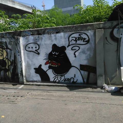 เสือดำทุ่งใหญ่