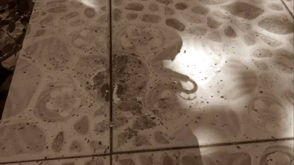 ยิงปืนแห่ขันหมาก