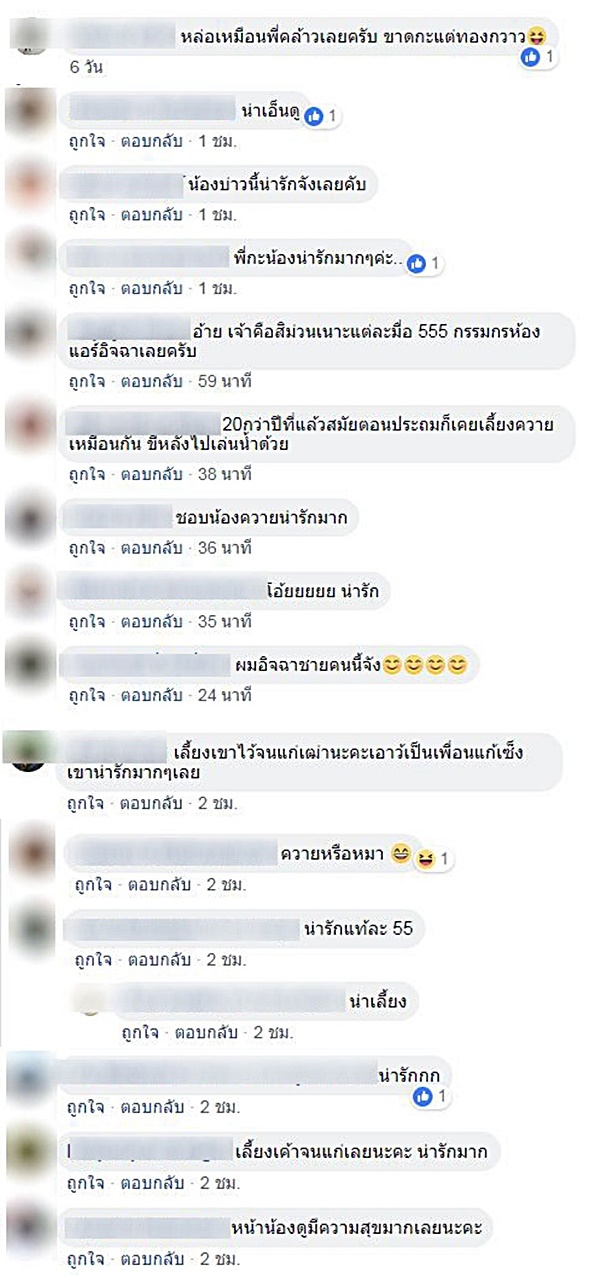 คำแพง ควายแคระ