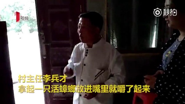 แมลงสาบ