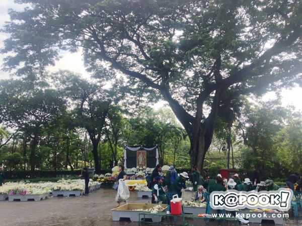 ในหลวง รัชกาลที่ 9