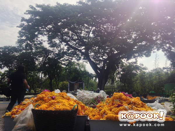 ในหลวง รัชกาลที่ 9