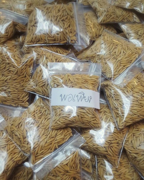 ข้าวแห่งความพอเพียง