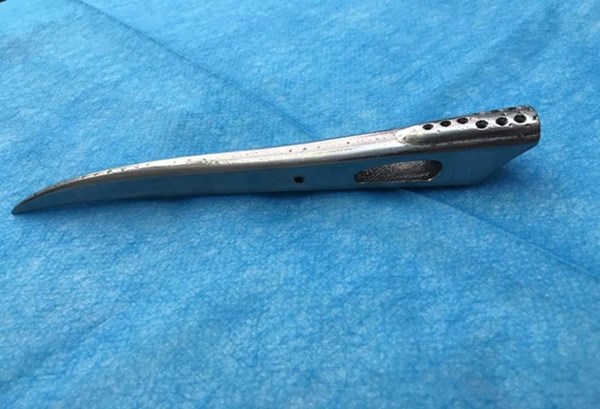 นกกระเรียนปากหักได้ปากเทียมใหม่จากเครื่องพิมพ์ 3 มิติ