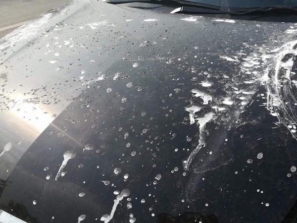 รถสีลอกเป็นแผ่นหลังสงกรานต์