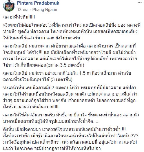 ฉลามกัดขานักท่องเที่ยว