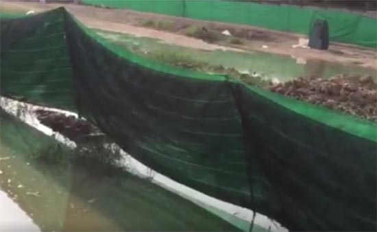 ชาวบ้านร้อง วัดพระธรรมกายขุดร่องน้ำ ทำน้ำท่วมสวนเตยเสียหาย 1.5 ไร่