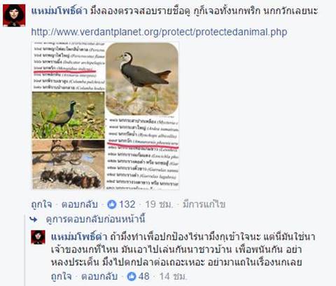 จวกสนั่น !! แก๊งเลี้ยงเหยี่ยวล่านกสัตว์ป่าคุ้มครอง ไม่สนกฎหมายบ้านเมือง