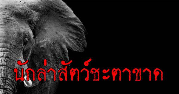 นักล่าสัตว์ชะตาขาด