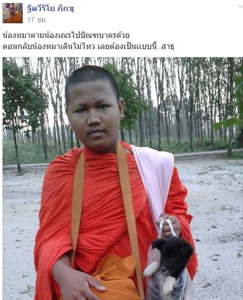 ภาพน่ารัก เณรนำหมาน้อยใส่ถุงกลับวัด หลังเดินตามบิณฑบาต