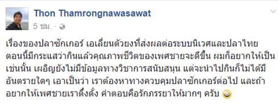 ปลาซักเกอร์ 