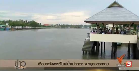 อัมพวา ประกาศเตือนระวังจระเข้ในแม่น้ำแม่กลอง หลังคนเห็นโผล่อาบแดด