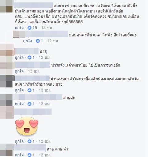 ภาพน่ารัก เณรนำหมาน้อยใส่ถุงกลับวัด หลังเดินตามบิณฑบาต