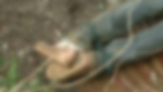 ฆ่าตัวตายพิสดาร