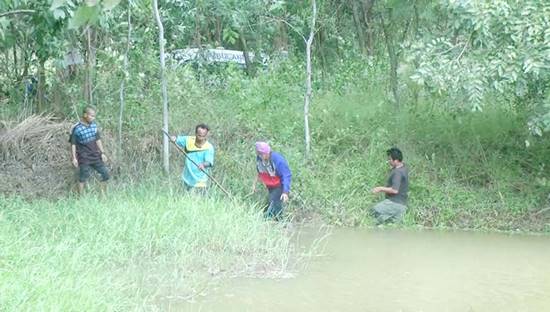 ฆ่าตัวตายพิสดาร