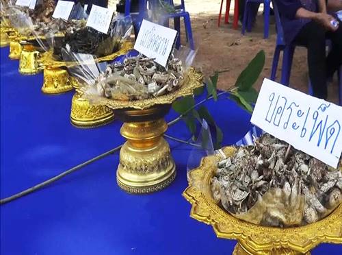 พระเกจิระยอง จัดพิธีเคี่ยวน้ำมันมนต์ต่อกระดูก เผยพิธีกรรมศักดิ์สิทธิ์ 4 ปี มีครั้งเดียว