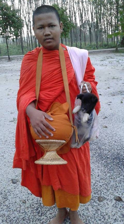 ภาพน่ารัก เณรนำหมาน้อยใส่ถุงกลับวัด หลังเดินตามบิณฑบาต
