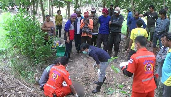 ฆ่าตัวตายพิสดาร