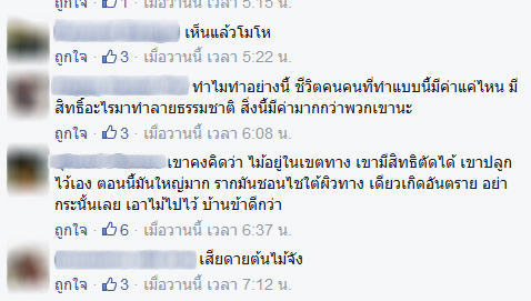 อุโมงค์ต้นไม้