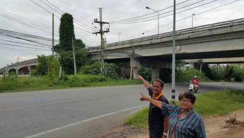 วอนตัดเถาวัลย์รูปเจ้าโลกยักษ์ตั้งตระหง่าน