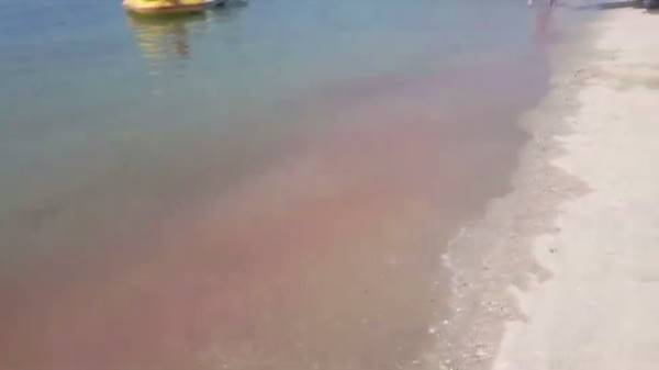 ทะเลบางแสนกลายเป็นสีชมพู