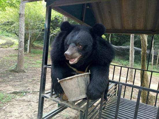 ชาลี ชักกุย