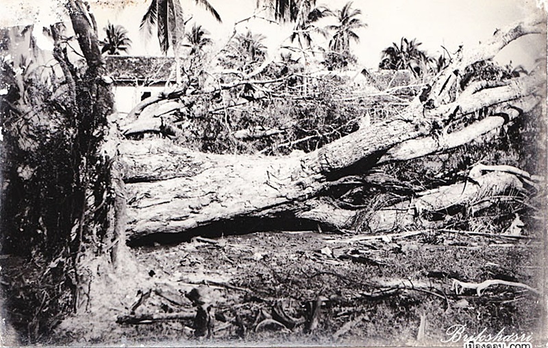  พายุปาบึก