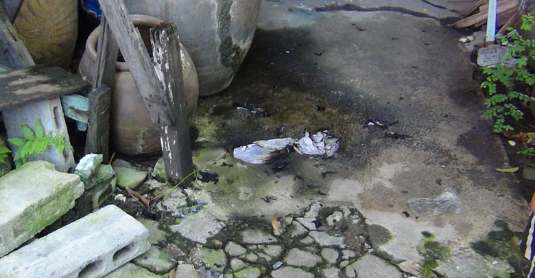 จุดไฟเผาตัวเอง