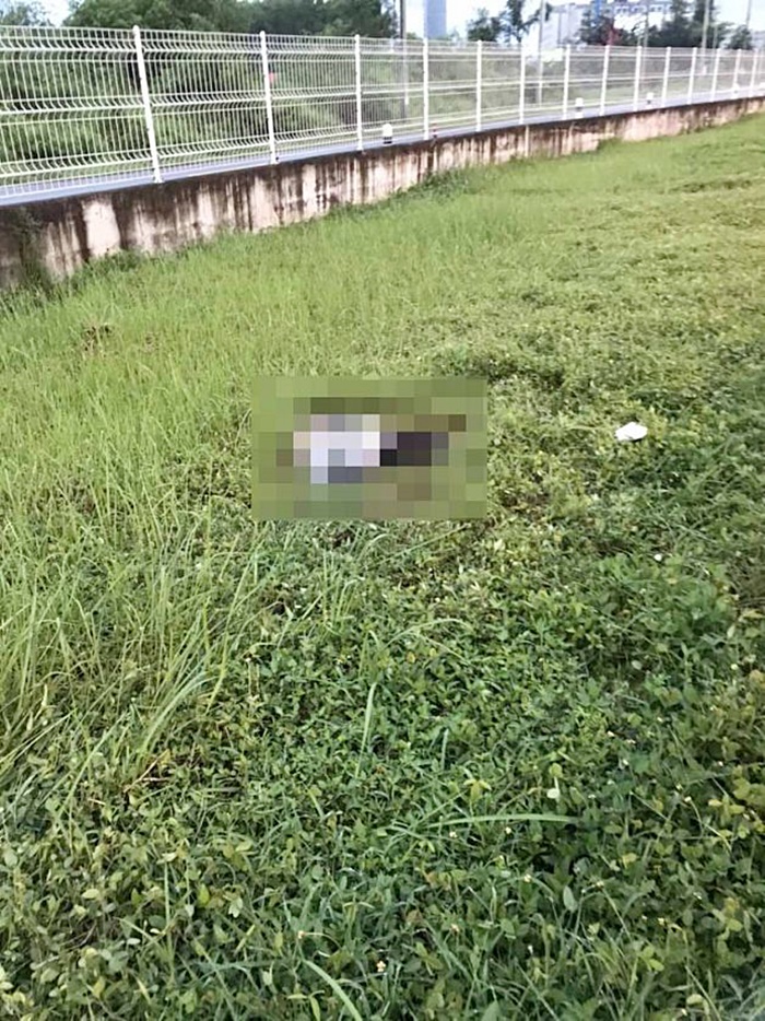 ฟอร์ดแซงซ้ายอัดท้ายเก๋ง 