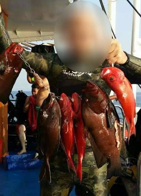 พบเรือทัวร์พานักท่องเที่ยวจับปลาเขตหมู่เกาะสิมิลัน ใช้ปืนยิงปลา-จับกุ้งมังกร