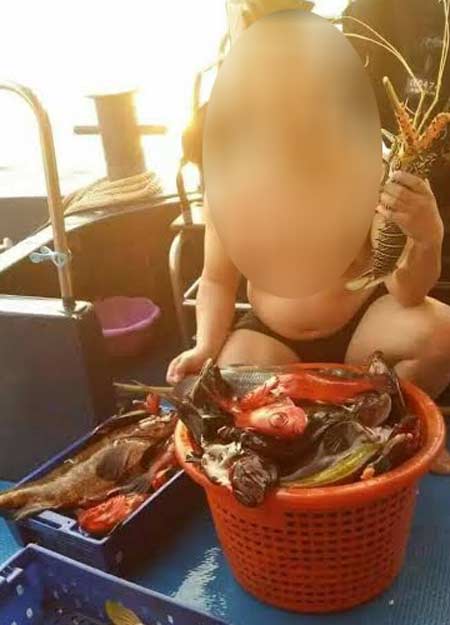 พบเรือทัวร์พานักท่องเที่ยวจับปลาเขตหมู่เกาะสิมิลัน ใช้ปืนยิงปลา-จับกุ้งมังกร