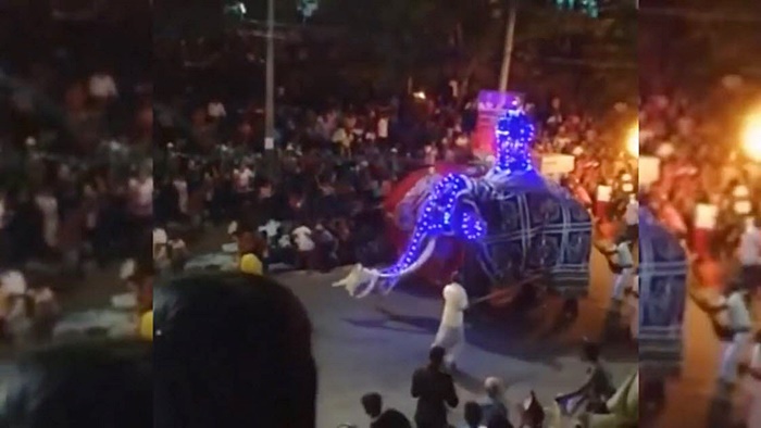 ช้างอาละวาด