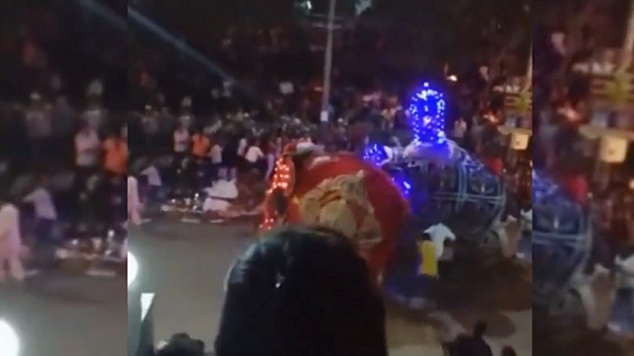 ช้างอาละวาด