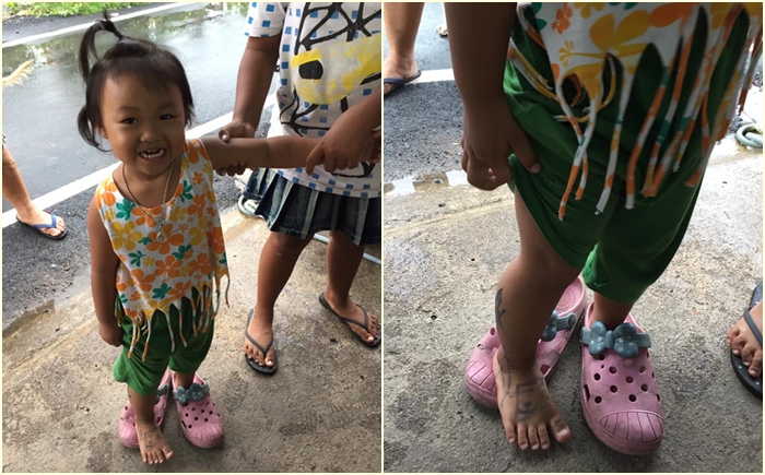 สัตว์อันตราย 