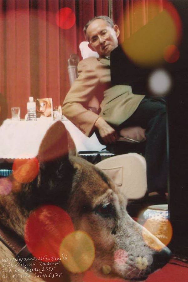 ในหลวง ร.9