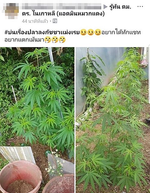 ผีน้อยลักลอบทำงานในเกาหลีใต้ 