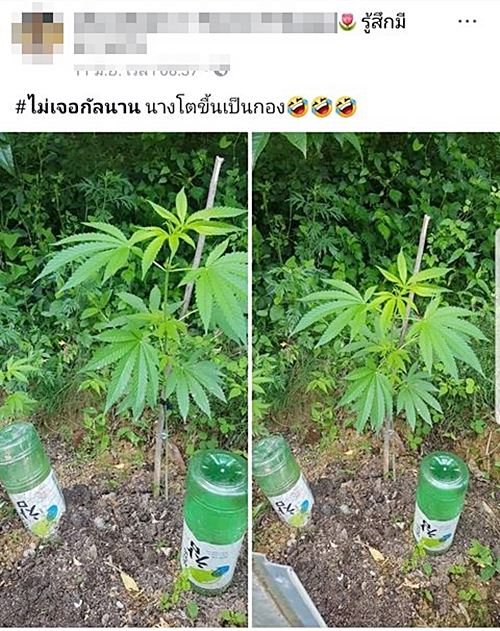 ผีน้อยลักลอบทำงานในเกาหลีใต้ 