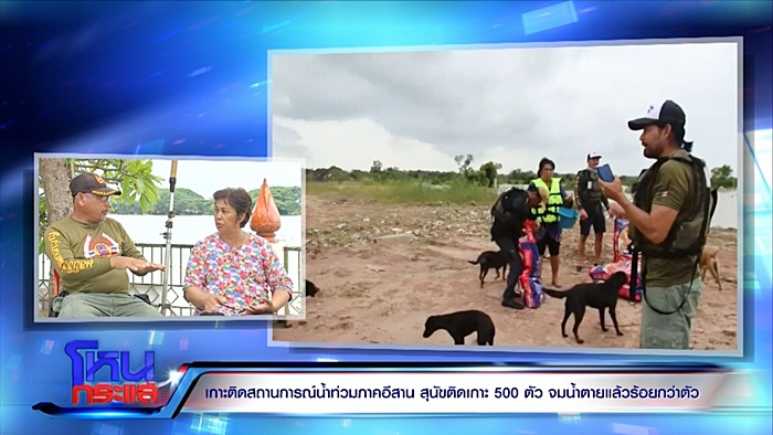  ช่วยหมา