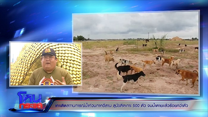  ช่วยหมา