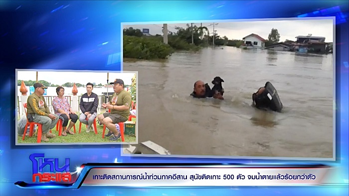  ช่วยหมา