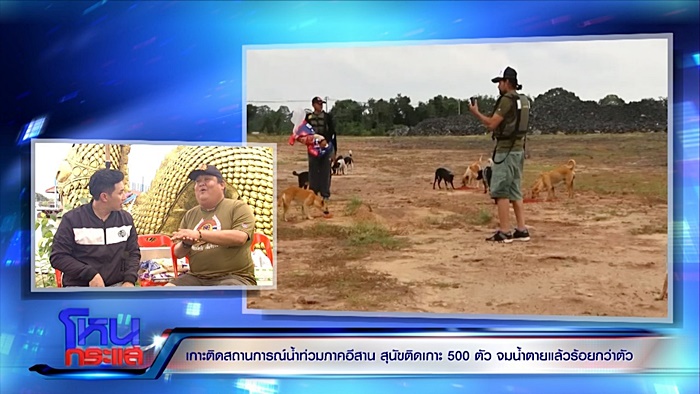  ช่วยหมา