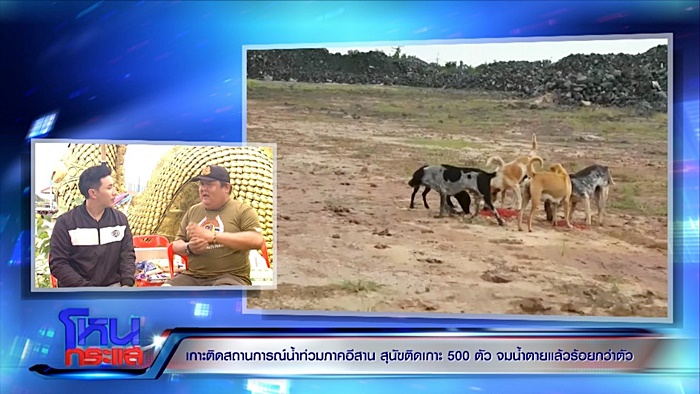  ช่วยหมา