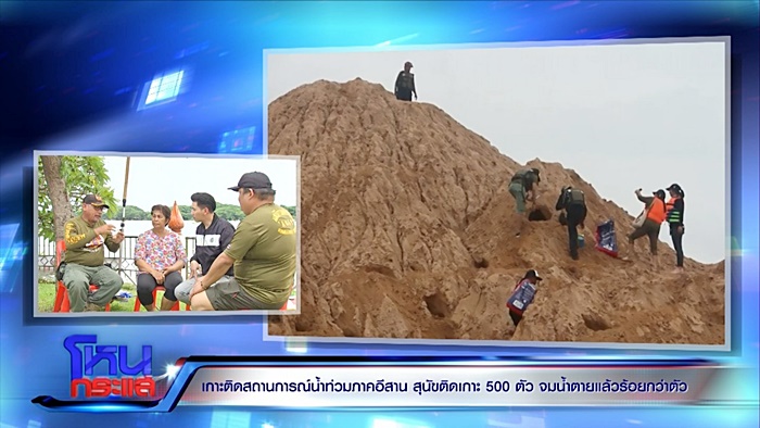 ช่วยหมา