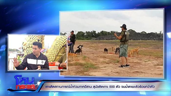 ช่วยหมา