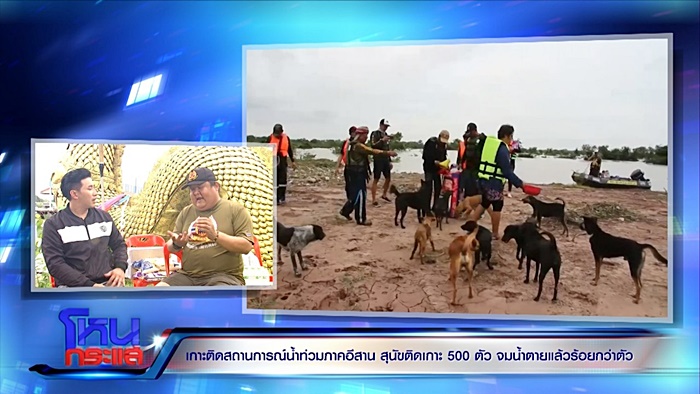  ช่วยหมา