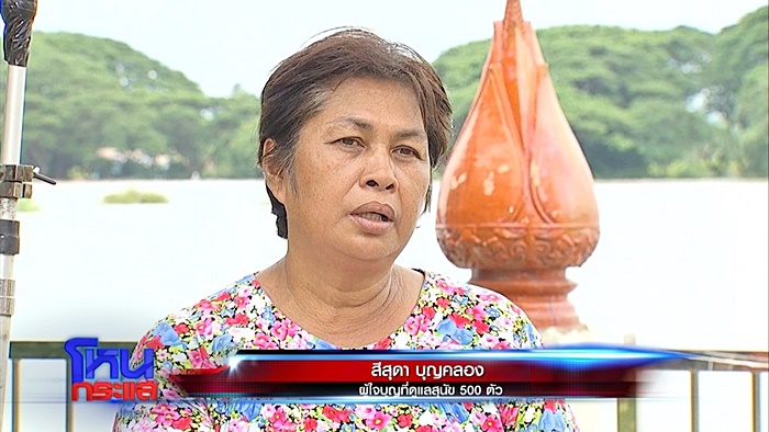  ช่วยหมา